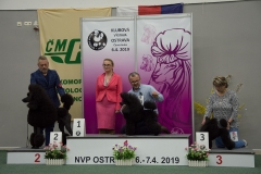 Aramis Les Mousquetaires Czarna Fuga