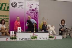 Aramis Les Mousquetaires Czarna Fuga