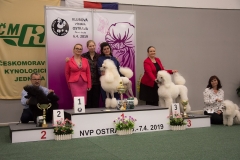 Aramis Les Mousquetaires Czarna Fuga