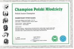 Champion-Polski-Mlodziezy-Rico