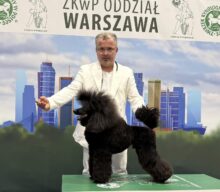 International Dog Show (CACIB) – Qualification for Crufts 2026