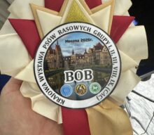 Krajowa Wystawa Psów FCI Moszna 2025