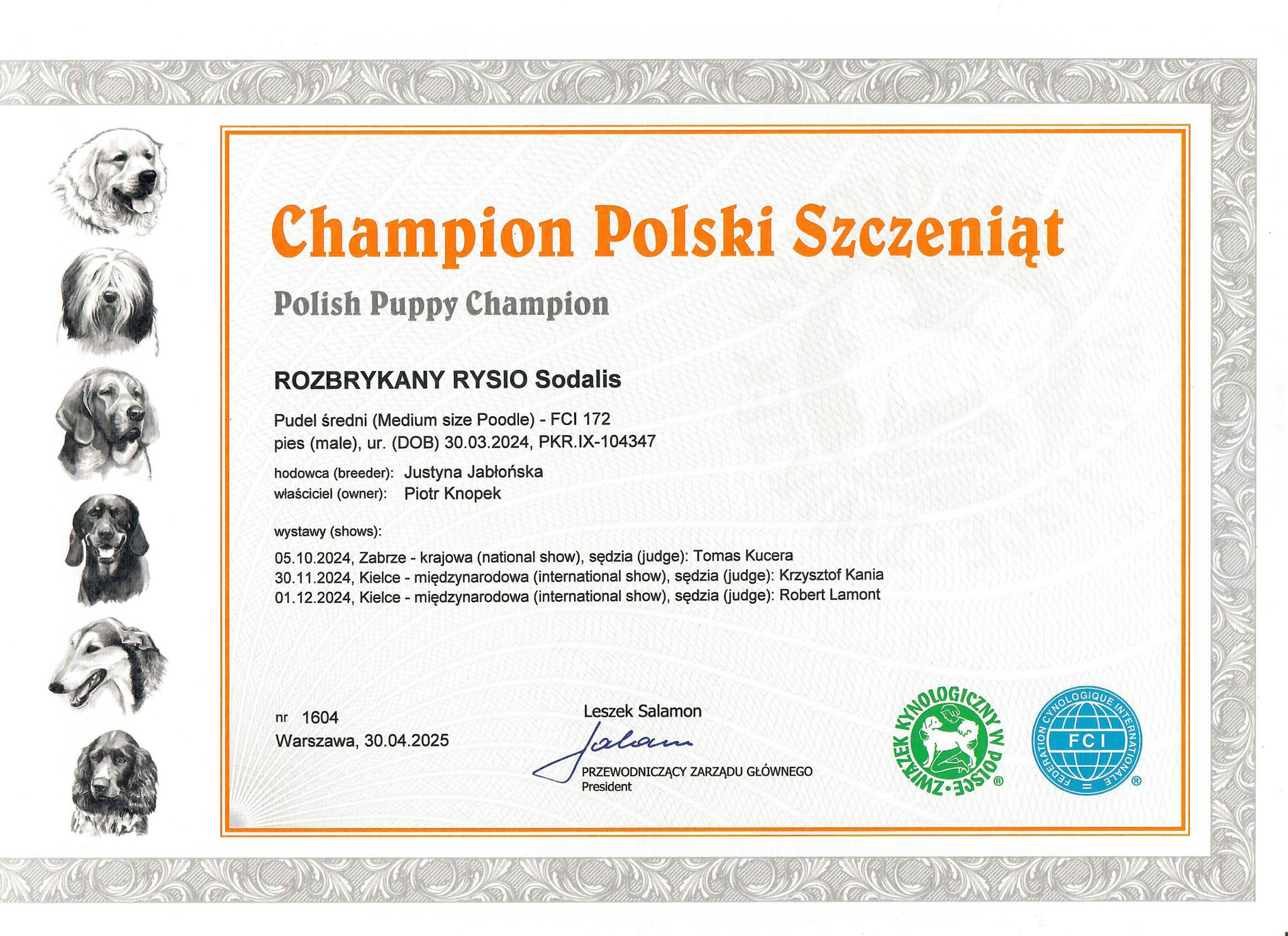 Rozbrykany Rysio Sodalis - Champion Polski Szczeniąt