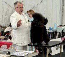 Międzynarodowa Wystawa Psów Litoměřice 25.05.2025