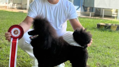 NITRA DOG EXPO – 14.06.2025