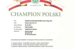 FastReport PDF export