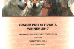 Grand Prix Slovakia 2017