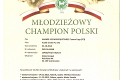 Młodzieżowy Champion Polski