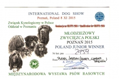 Młodzieżowy Zwycięzca Polski