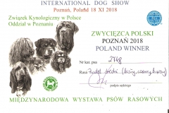 Zwycięzca Polski 2018r.