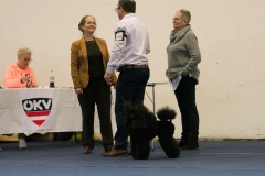 w14